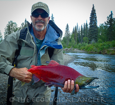 Michael Carl with a sockeye salmon caught in Alaska's Bristol Bay.