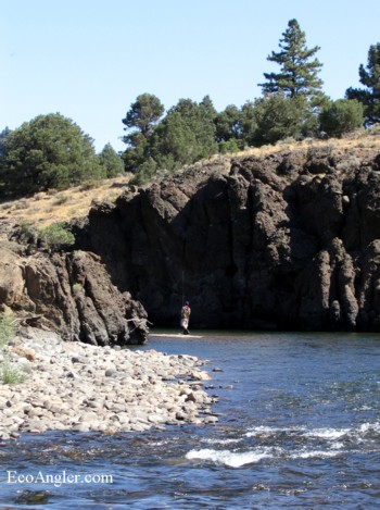 Angler fishes a deep pool on the East Fork of the Carson River