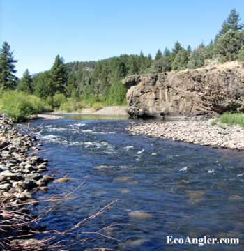 Wild and Scenic section on the East Fork of the Carson River