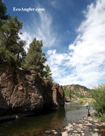 Angler fishes a deep pool on the East Fork of the Carson River