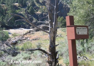 Angler Survey at the start of the Wild and Scenic section on the East Fork of the Carson River