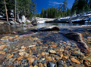 The Dana Fork of the Tuolumne River Yosemite National Park in California