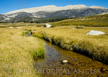 Golden Trout Creek flows through Big Whitney Meadow in Californias Sierra Nevada Mountains.