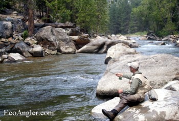 Drifting nymphs on the Kern River