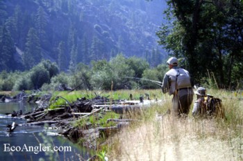 Drifting dry flies on the Kern River