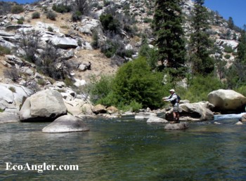 Fishing upstream of Johnsondale Bridge on the Kern River