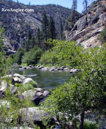 View upstream of Johnsondale Bridge on the Kern River