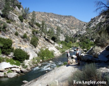 Starting the hike upstream of Johnsondale Bridge on the Kern River