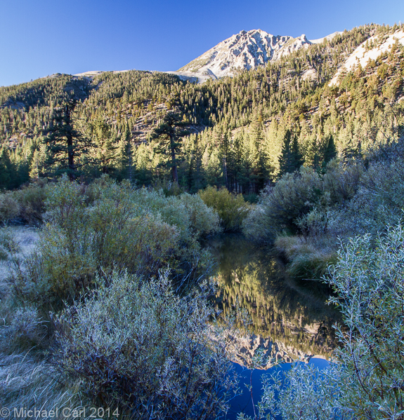 A small meadow section where Lee Vining Creek meanders on the Eastern Sierra Nevada.