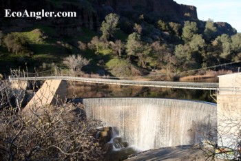 The lower Stanislaus River starts below Goodwin Dam