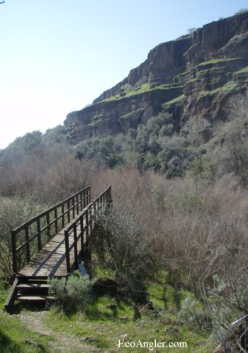 The dramatic cliffs of Goodwin Canyon in the background.