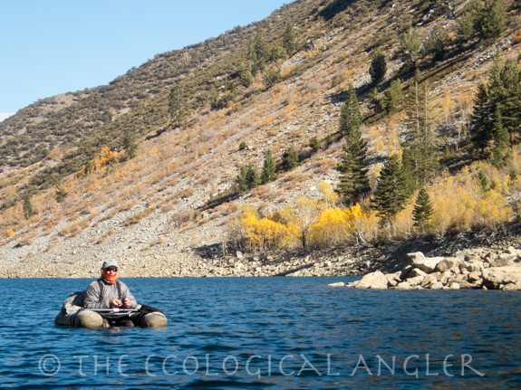 The Ecological Angler - Fly Fishing Lundy Lake Sierra Nevada