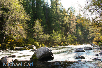 The Ecological Angler - McCloud River Ah-Di-Na Campground to ...