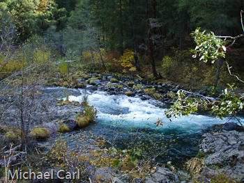 McCloud River along the Nature Conservancy Preserve.
