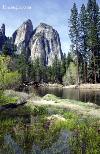 Cathedral Rock reflected off the water along the Merced River