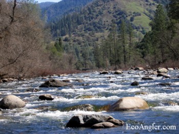 Wild and Scenic section on the Merced River