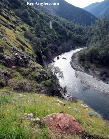 Wild and Scenic section on the South Fork Merced River