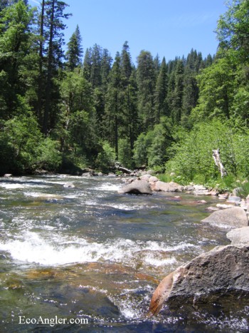 North Fork Stanislaus River