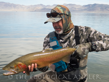 Michael Carl holding Lahontan Cutthroat from Pyramid Lake Nevada.