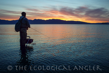 Fly Fishing at Pyramid Lake Nevada before sunrise