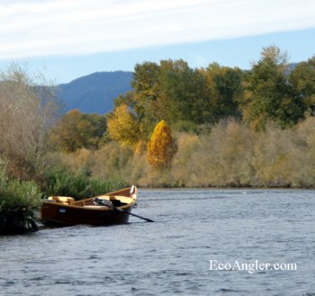 Fall color are evident along the Rogue River