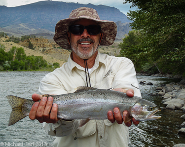 An angler catches a 20 inch cutt-bow trout on the North Fork Shoshone one of the best freestone rivers in the  West.