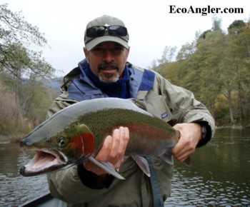 Angler displaying a 30 inch steelhead buc along the Trinity River
