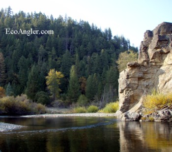 Scene along the Trinity River