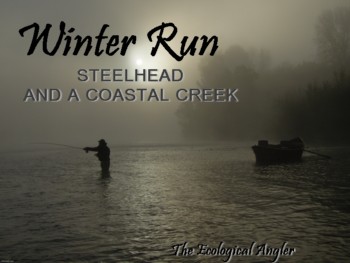 Winter Run steelhead and a Coastal Creek