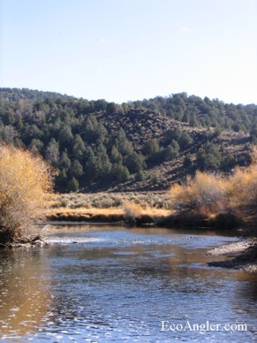 East Walker River