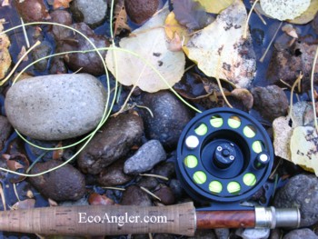 Fallen leafs along the river with fly reel and line.