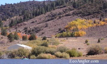 The Egg Shack at Heenan Lake