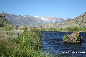 Hot Creek