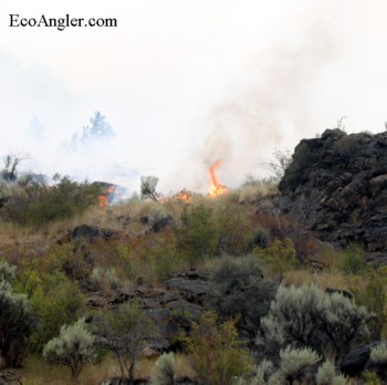Flames flare up along the hillside within the Middle Fork of the Salmon River