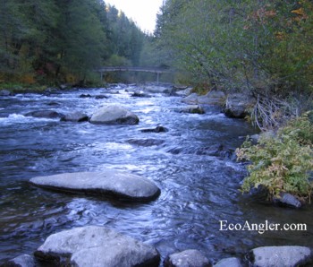 McCloud River at Ash Camp