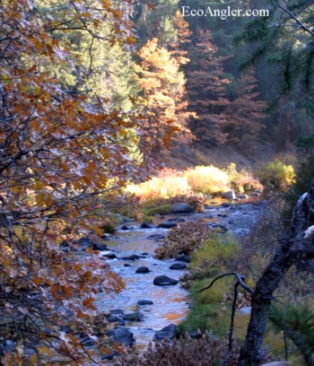 The McCloud River in Fall