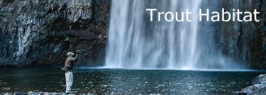Trout Habitat
