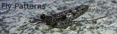 Fly Patterns