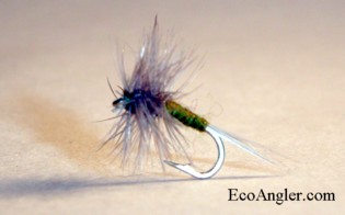   Blue Winged Olive - Fly Fishing &amp; Fly Tying Information Resource