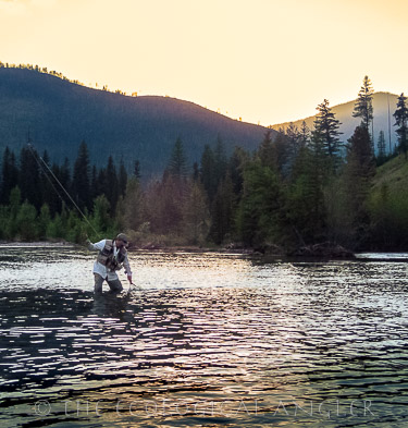 Fly fishing the Bob Marshall Wilderness on the South Fork Flathead River in Montana