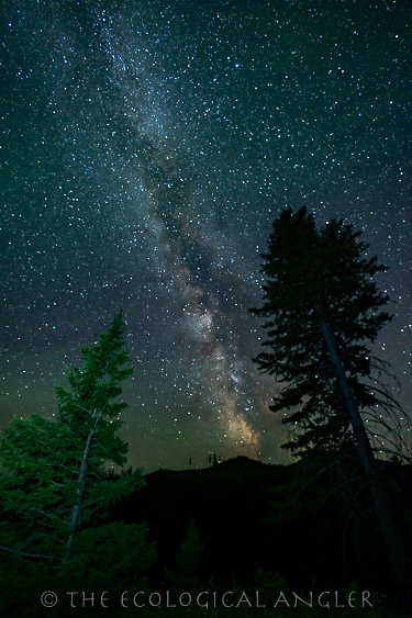 Camping under the night sky in the Bob Marshall Wilderness with the Milky Way in full display