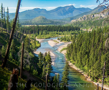 The South Fork Flathead River flows through the heart of Bob Marshall Wilderness in Montana