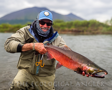 Alaska silver salmon caught fly fishing by Michael Carl near Bristol Bay