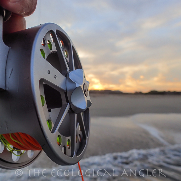 The Coast California in the winter can be excellent for surf fishing with less crowds and more perch than summer.