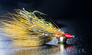 The Rusty Squirrel Clouser fly is a solid pattern for surf perch