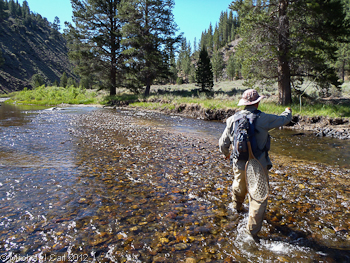 An angler fishes a slot below the the Carson River Trail in the Carson Iceberg Wilderness