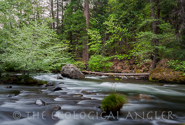 Deer Creek flows throught Lassen National Forest in California