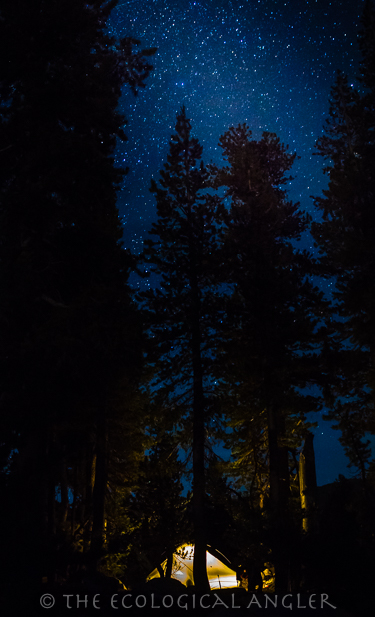 Tent camping under the stars in Yosemite National Park