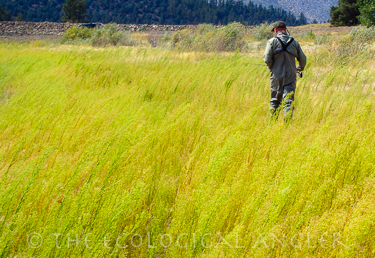 fly fishing the shoreline at Indian Creek Reservoir can be rewarding