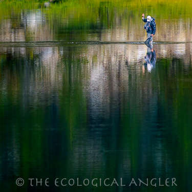 Fly Fishing for Trout in the Pioneer Lakes Basin takes you to High Sierra Lakes